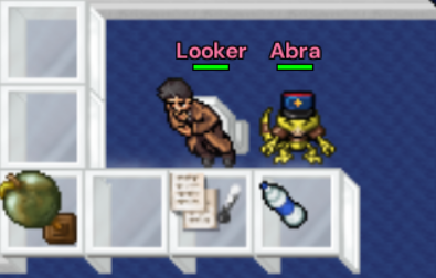 NPC Looker